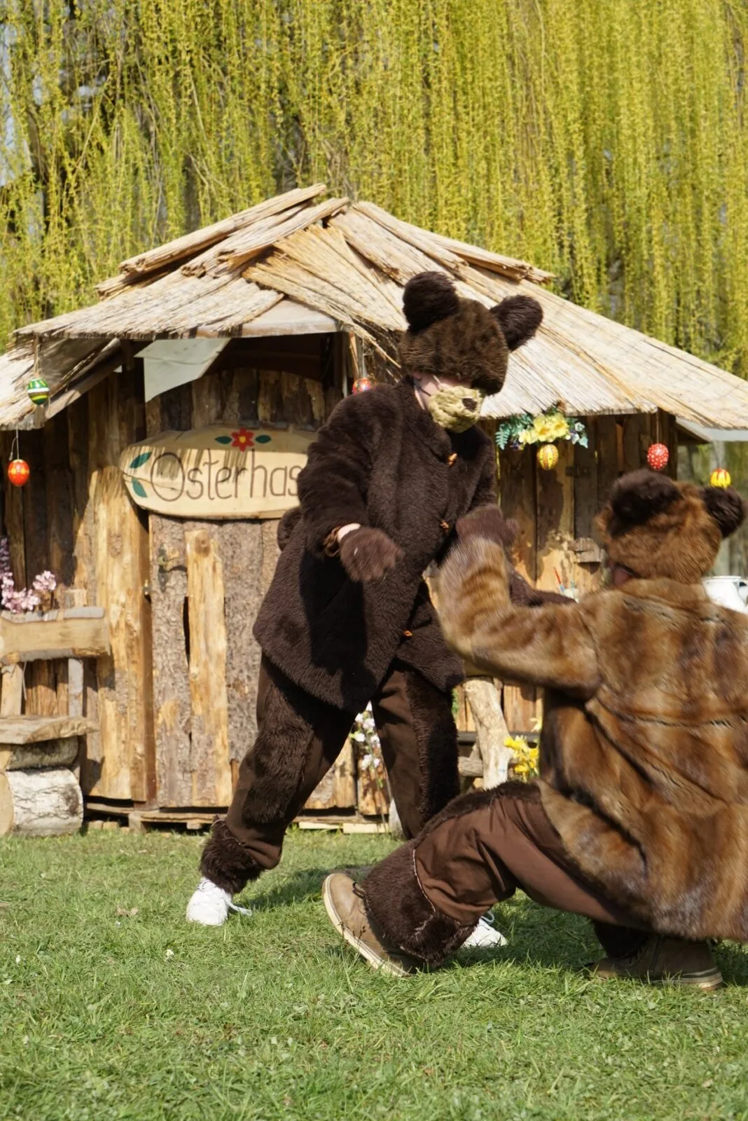 Bären toben vor dem Osterhasenhaus – Zwei Darsteller in braunen Bärenkostümen rangeln auf der Wiese vor einem rustikalen Holzhaus mit Schild Osterhasen, umgeben von bunter Frühlingsdekoration. Humorvolle Szene aus dem Musical.