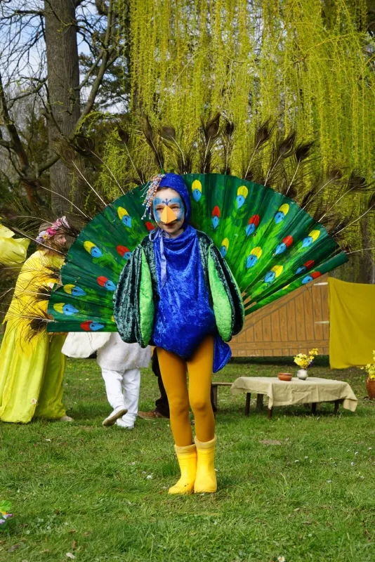 Pfau im Kostüm mit großem Federfächer – Ein Kind als Pfau steht auf der Frühlingswiese, der bemalte Fächer mit echten Pfauenfedern spannt sich weit auf. Die farbkräftige Figur bringt Glanz in die Frühlingsbühne von Abenteuer mit dem Hasensohn.